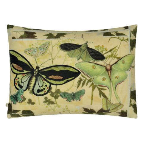 John Derian Cushions