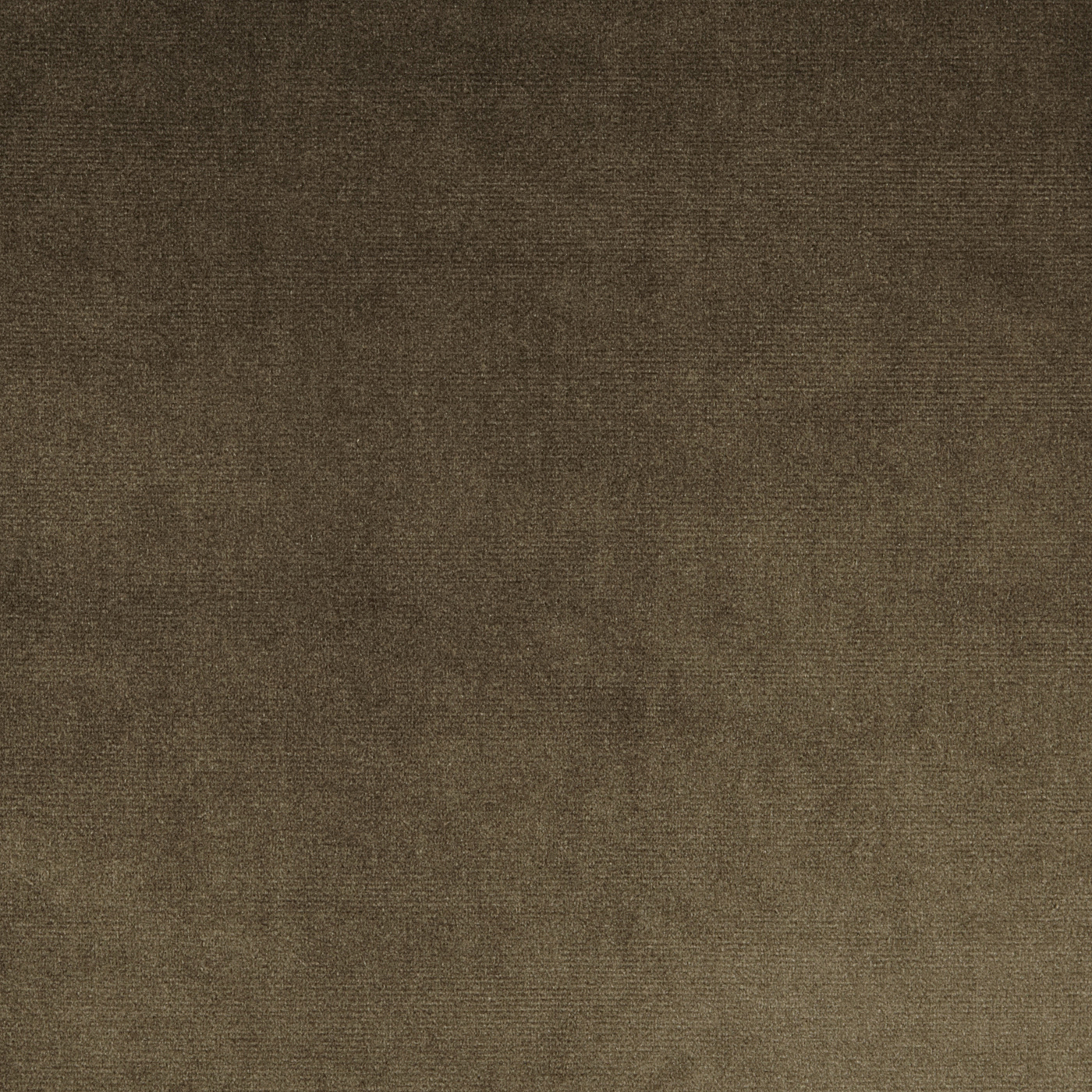 Velour - Gold fabric | Velour | Prestigious Textiles