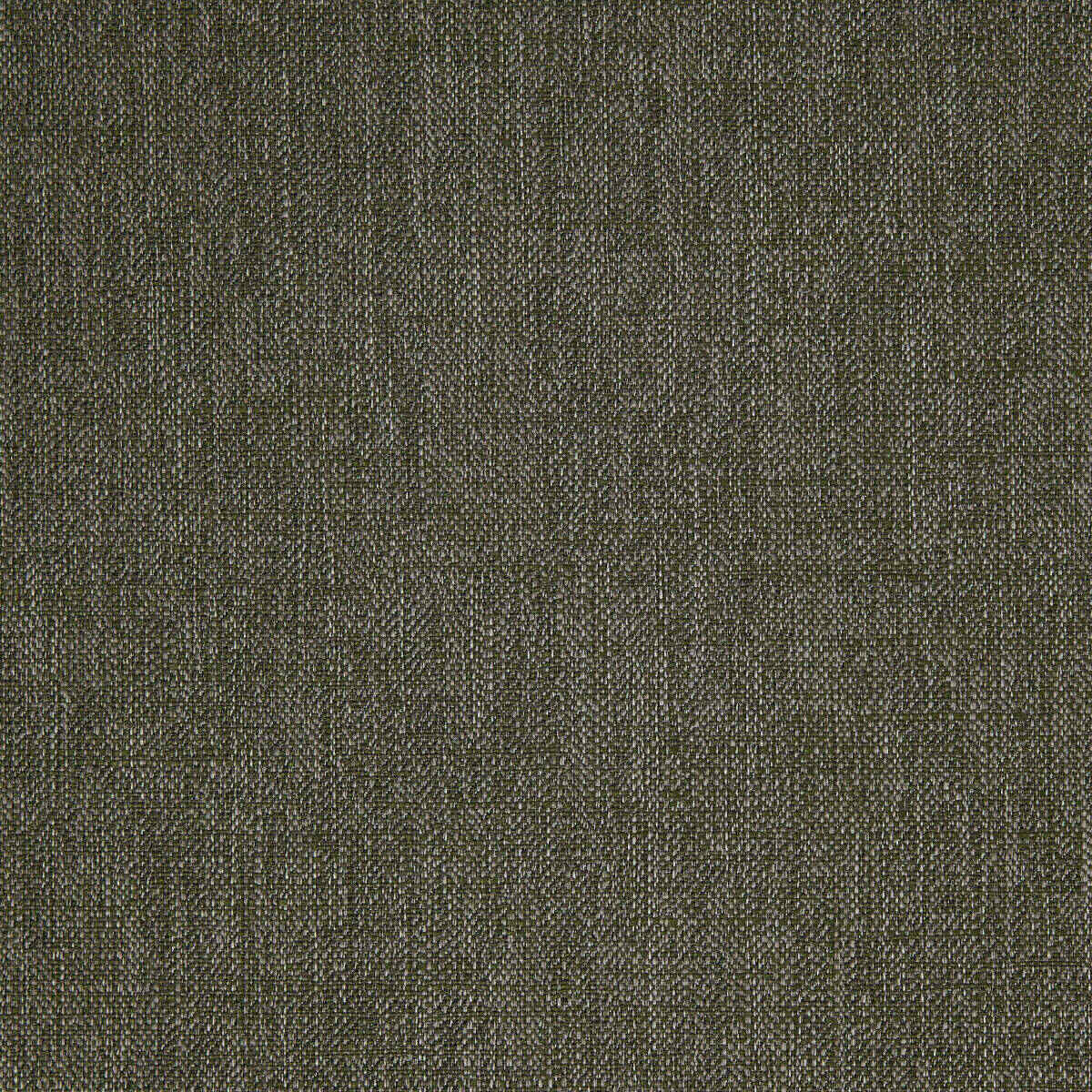Abaca - 13 fabric