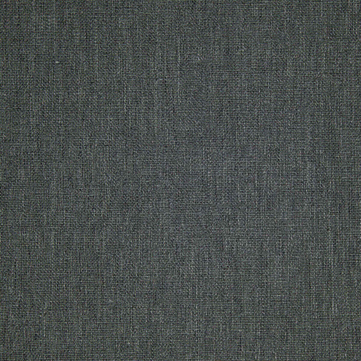 Abaca - 14 fabric