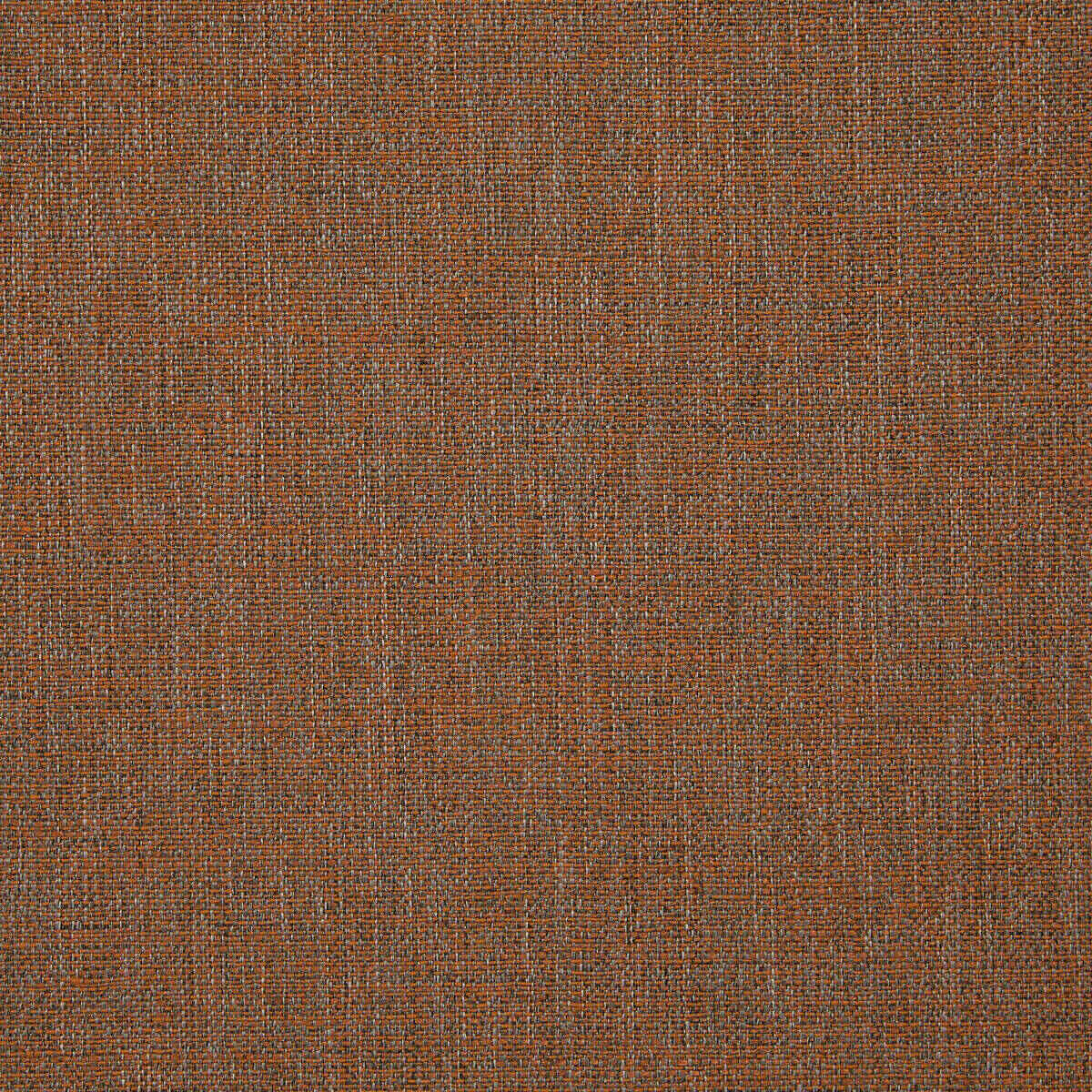 Abaca - 28 fabric