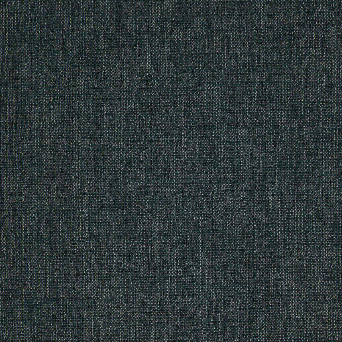 Abaca - 33 fabric
