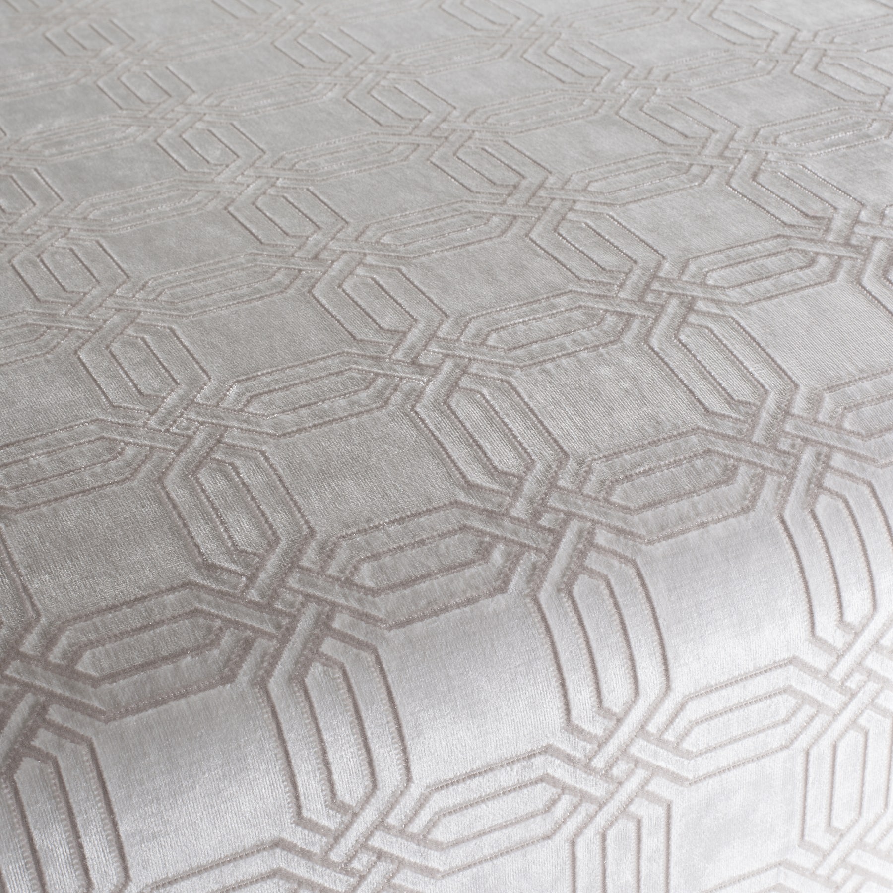 ＴＩSSＵ D1200012663448392_260820230156