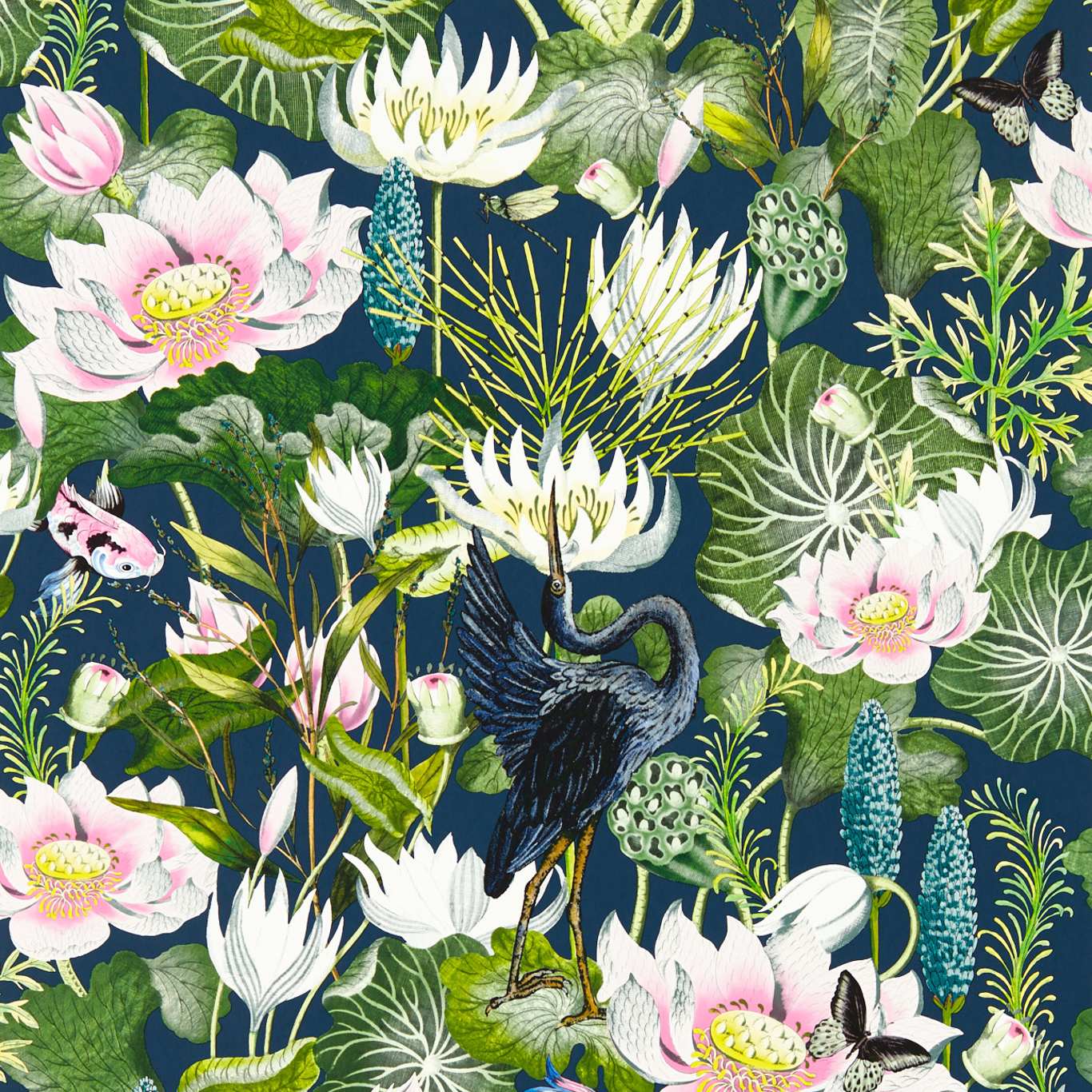 Waterlily - Midnight wallpaper