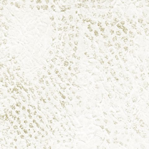 Les Vingt Et Un Royaumes 02 Wallpaper Washi Elitis