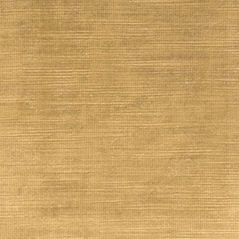 Per Metre 50mm Olive Velvet
