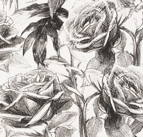 Empress Rose Magenta Wallpaper Floribunda Wallpapers Clarke Clarke