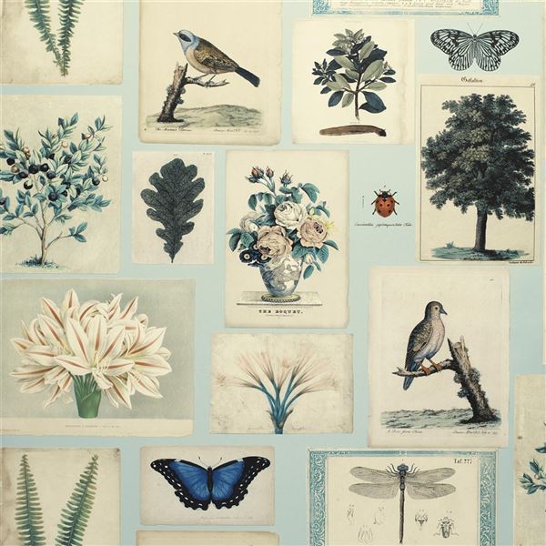 Flora and Fauna - Cloud Blue wallpaper