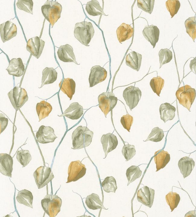 Lanternes - Vert Khaki wallpaper