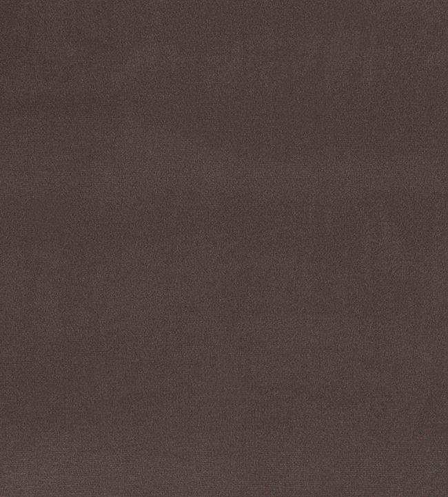 Plush Velvet Fabric & Upholstery Collection by Warwick