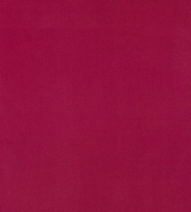 Plush Velvet Cloud fabric Plush Velvet Warwick