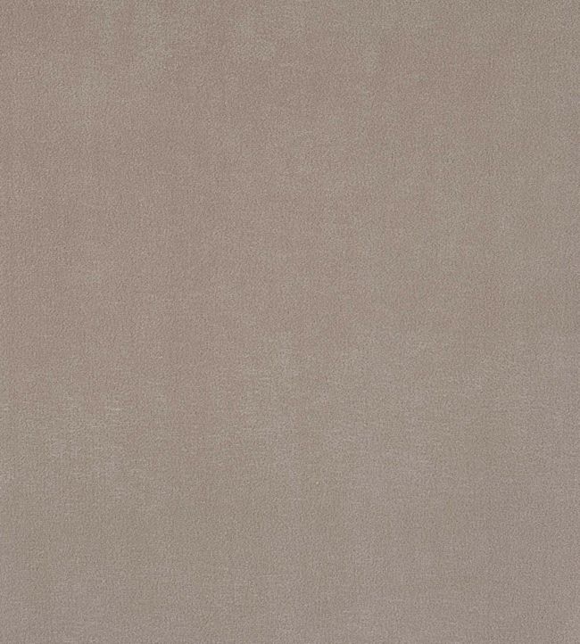 Plush Velvet Cloud fabric Plush Velvet Warwick